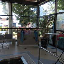 jubilaeumsfest 2019 20190701