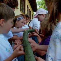 jugendhuette 2007 20181024