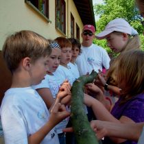 jugendhuette 2007 20181024