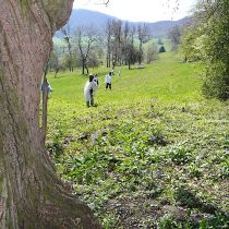 jugendhuette 2008 20181026