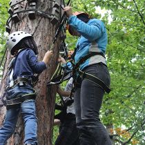 kletterwald 2019 20191119