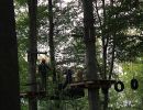 kletterwald 2019 20191119