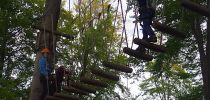kletterwald 2019 20191119