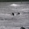 rettungsvergleichwettkampf 1994
